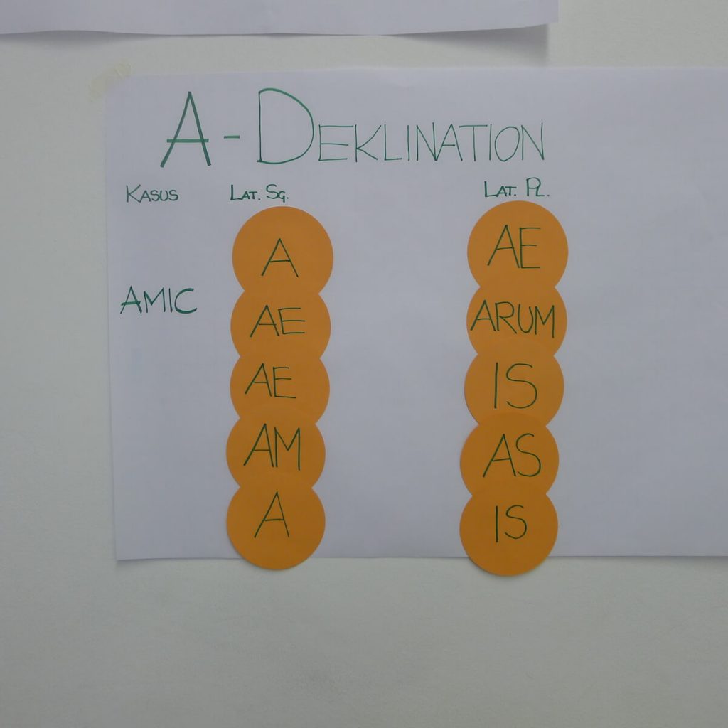 academia linguae latinum in 4 wochen