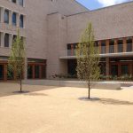 Latinum in 4 Wochen in Stuttgart